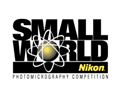 Logo for Nikon 'Small world' competition & link to web-site
